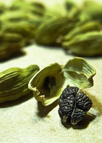 Semillas de cardamomo