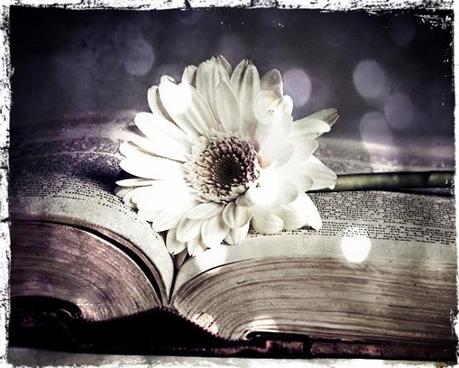 Día del libro - Los libros nos marcan