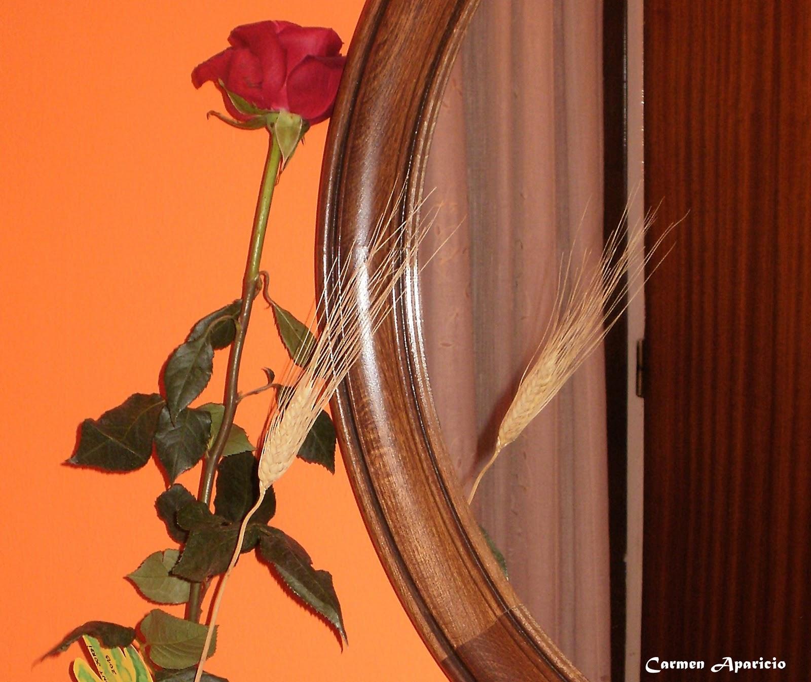 Día de San Jordi