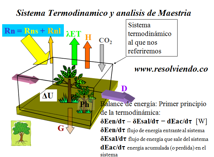 Que Es El Flujo De La Materia Y Energia Material Colección