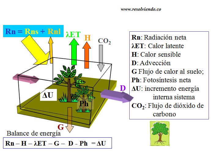 Flujos de materia y energía en la Superficie Terrestre