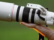 Canon 200-400 f/4L 1.4x Disponible para 2014?
