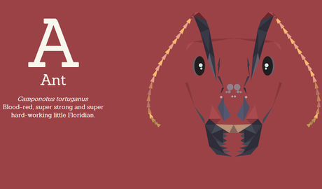 ABC...¡del diseño gráfico animal!