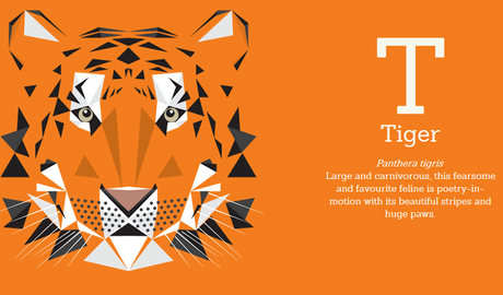 ABC...¡del diseño gráfico animal!