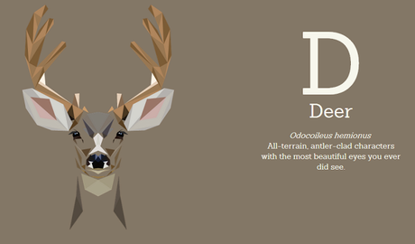 ABC...¡del diseño gráfico animal!