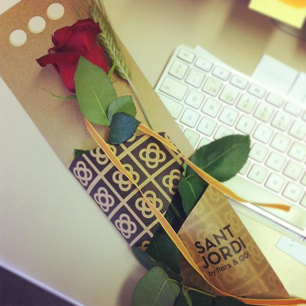 my St Jordi on Instagram