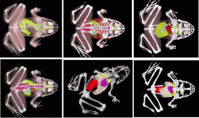 Pedir o no pedir: la información es clave para el profesional