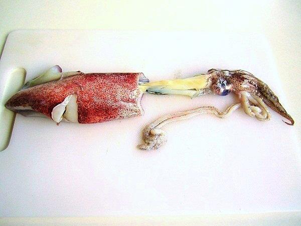 vol-au-vent-con-calamares (4)