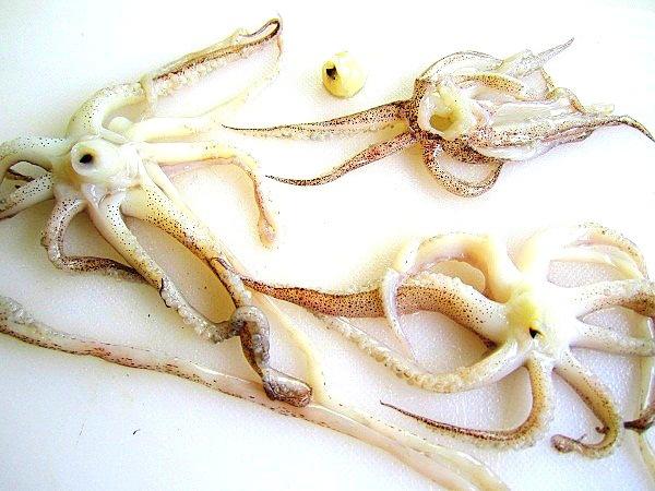 vol-au-vent-con-calamares (6)