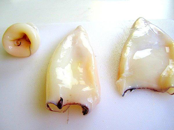 vol-au-vent-con-calamares (10)