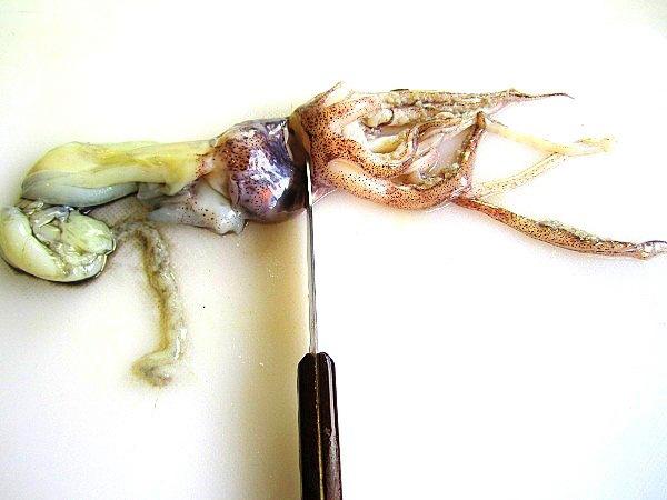 vol-au-vent-con-calamares (5)