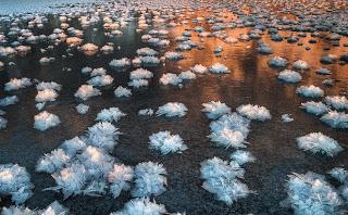 Las flores de hielo