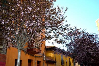 Un paseo por León