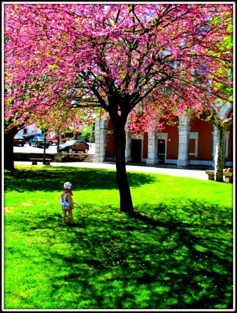 Kauli y  FLAMENCA con tocado, peineta , flor????Ainsssssssssss