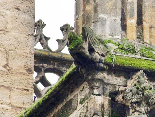 Las gárgolas de la Catedral (3): la fachada norte.