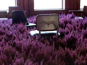 Flores en un psiquiátrico