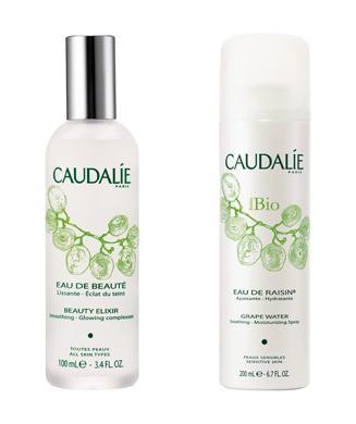 Especial Brumas Faciales: Recomendaciones, Usos y Recetas