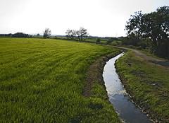 Recomendaciones a los consumidores