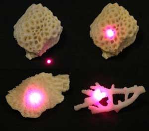 blanqueamiento de los corales óptica detección temprana del cáncer