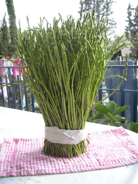 La recolección campestre