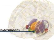 Controversial cirugía para tratar adicción