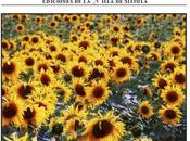 Libre tormenta, Javier Sánchez Menéndez: cuatro notas lectura