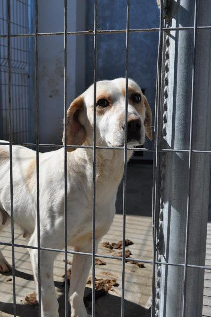 LUA, SOLO 7 MESES, SACRIFICAN 26/04/13!