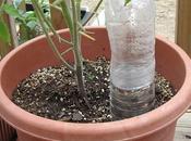 Reutilice botellas para riego