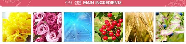 “Desde Asia con Amor”- SCANDAL Rose & Vanilla de SKIN79