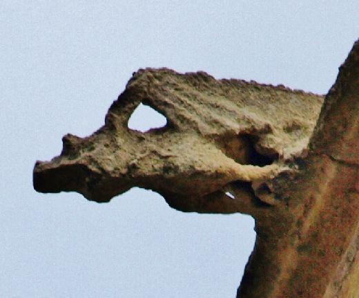 Las gárgolas de la Catedral (4): la fachada oeste.