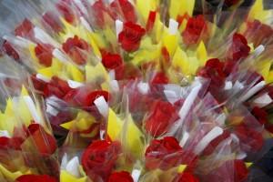 Princesas, caballeros y dragones (II) (Sant Jordi, Barcelona, 23 abril 2013) PRINCESAS, CABALLEROS Y DRAGONES (y II)