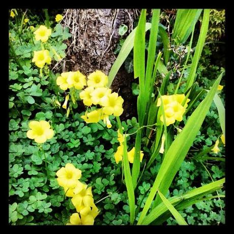 ¡¡Mi Semana en Imágenes!!