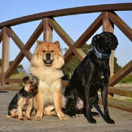 ¡¡Mi Semana en Imágenes!!