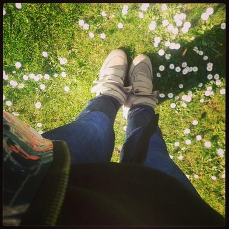 ¡¡Mi Semana en Imágenes!! ¡¡Mi Semana en Imágenes!!