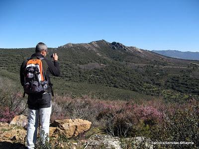 Santotis desde Semillas, Parque Natural de la Sierra Norte de Guadalajara 21-4-13