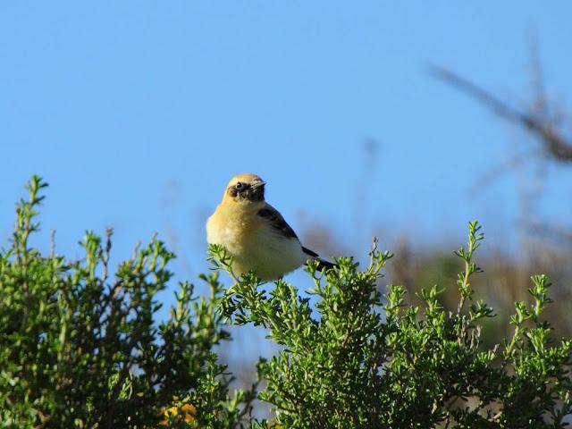 CAMPEANDO POR NAVARRA-EL DISFRUTE