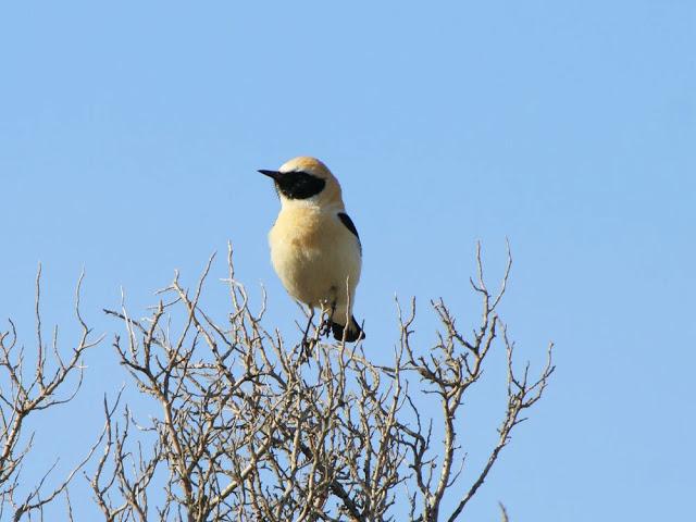 CAMPEANDO POR NAVARRA-EL DISFRUTE