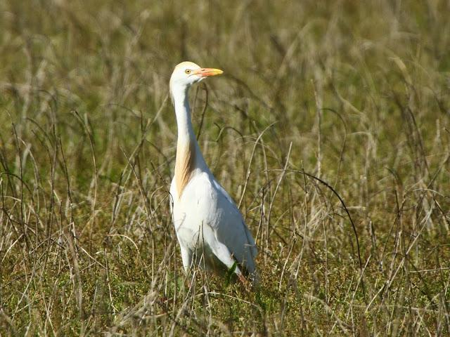 CAMPEANDO POR NAVARRA-EL DISFRUTE