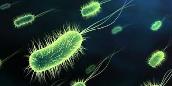 Nuevos métodos para el tratamiento de brotes hospitalarios de bacteria resistente