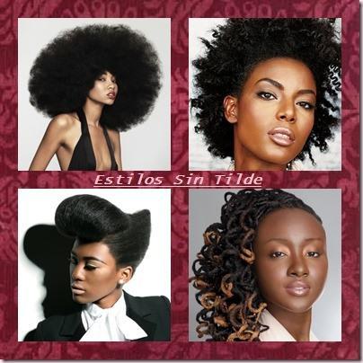 Peinados para mujeres negras 2013 cats thumb25 Peinados para mujeres negras 2013
