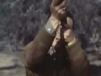 Sr. Gallardón: ¿ha leído usted a Delibes?