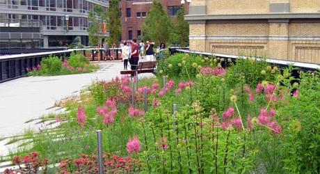 zinco cubiertas ecologicas