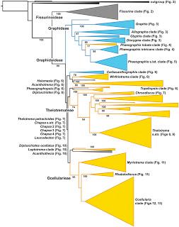 Talleres Pre-Congreso GLAL XI