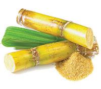 Mi tiempo y cañas de azúcar