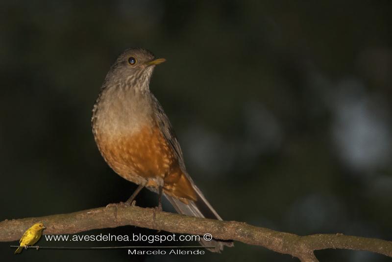 En el botánico después de mucho tiempo