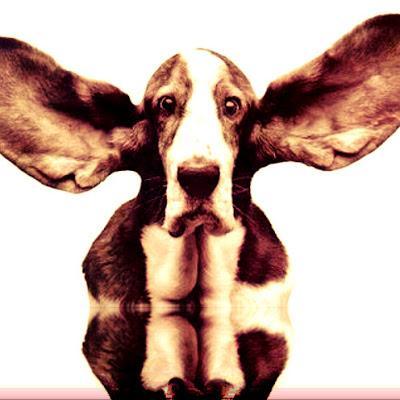 La Ruta del Arcoiris: Mish!