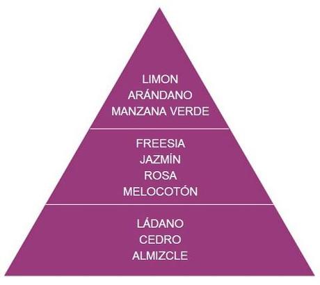 Mi primavera huele a flores, madera y trópico