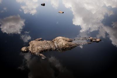 Muestra recoge las fotografías premiadas en el World Press Photo 2013 Sudan Border Wars / Dominic Nahr