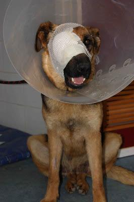 VALIENTE, HACE HONOR A SU NOMBRE !!! ACTUALIZACIÓN...