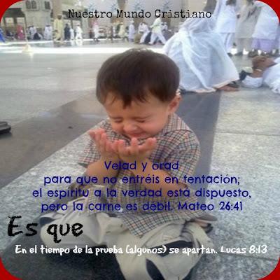 UNA PERSONA DE DOBLE ÁNIMO